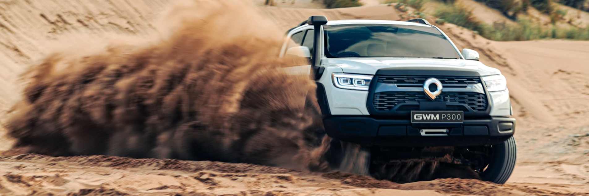 UNLEASH THE POWER OF THE P300