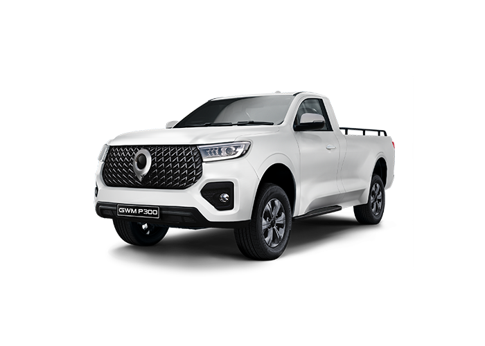 GWM P300