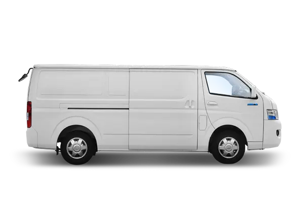 Foton eView