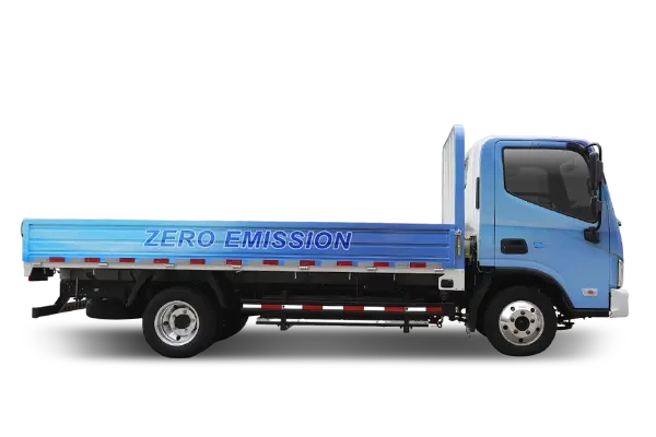 Foton eAumark