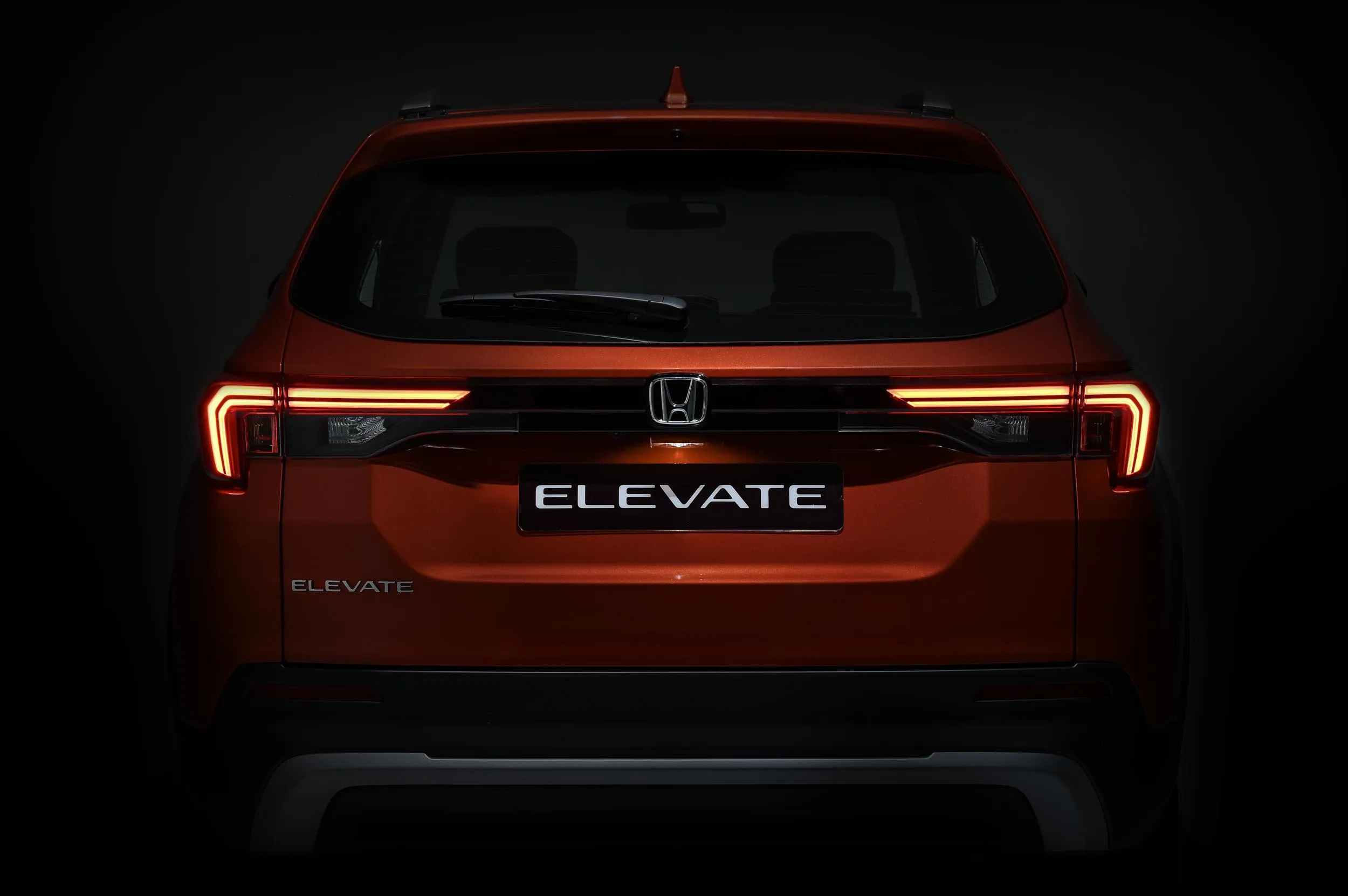 Elevate Your Senses